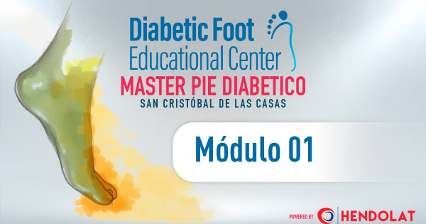 DFEC Módulo 01