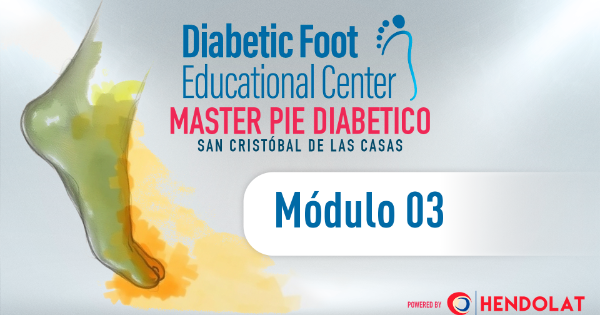 DFEC Módulo 03